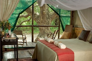 Kosi Forest Lodge Bedroom
