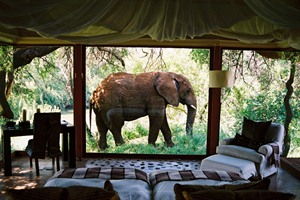 Makanyane Safari Lodge Suite
