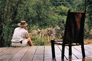 Zebra watching Makweti Safari Lodge