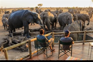 Elephant Watching at Nehimba Lodge