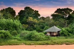 Exterior of Ngala Tented Camp