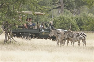 Stanley Safari Lodge Safari