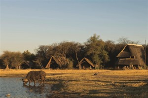 The Hide Safari Camp