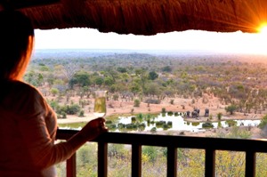 Views from Victoria Falls Safari Lodge