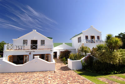 The Robberg Collection