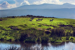 Views and Zebra in the Ngorongoro Crater, Tanzania