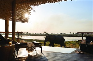 Belmond Luxury Safari Lodge - Botswana At Its Best 8