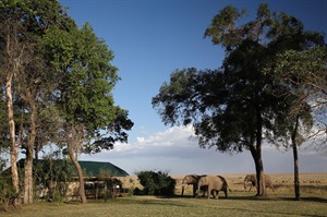Elephant Camp with 'security staff'