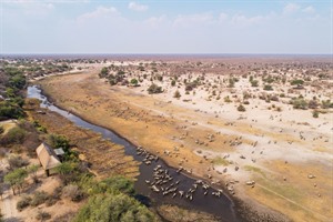 Botswana Conservation and Community 3