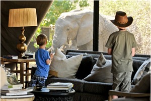 Botswana &amp; Victoria Falls Family Safari 1
