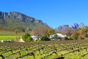 Scenery in the Stellenbosch wine region, Soputh Africa