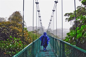 Canopy walk, Monteverde