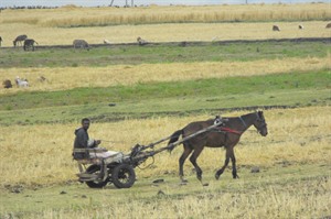 Rural scene, Ethiopia - Helen