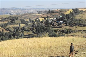Rural Ethiopian scene (Helen)