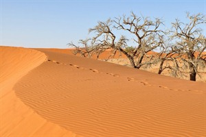 Sossusvlei Desert