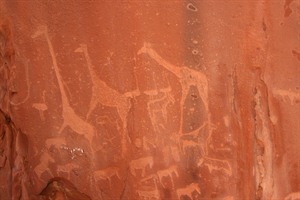 Rock engravings in Twyfelfontien
