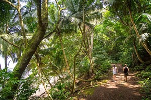 Walkers exploring one of the trails near Praia Sundy (Scott Ramsay)