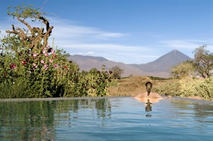 Tierra Atacama pool