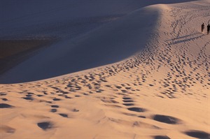 Dunes in the national park