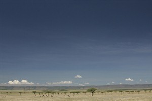 The stunning Mara landscape