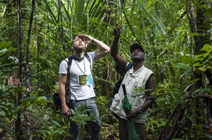Guided rainforest walk in Masoala's lowland rainforest