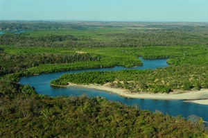 Anjajavy Private Reserve protects a healthy mangrove system