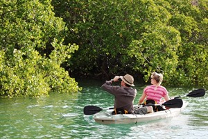 Mangrove cruise