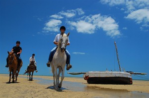 Horse Riding Safari in Mozambique