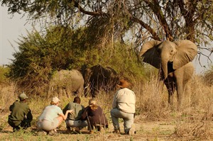 Norman Carr Safaris Authentic Walking Safari 1