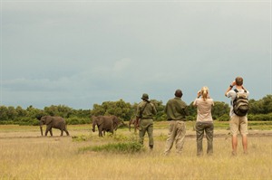 Norman Carr Safaris Authentic Walking Safari 3