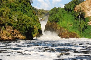 The thundering Murchison Falls