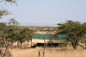 Kicheche Bush Camp