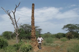 Termite mound near Turmi (Derek)