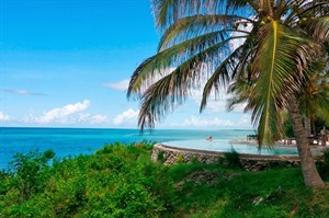 Sunny skies in Zanzibar