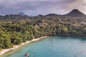 Beautiful, remote Obo Natural Park on Sao Tome (Scott Ramsay)