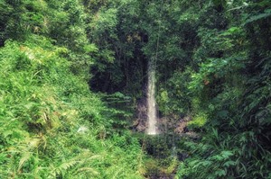 Sao Nicolau waterfall, Sao Tome
