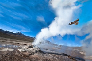Geysers in the high Altiplano