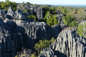 Tsingy and tropical dry forest,Tsingy de Bemaraha NP