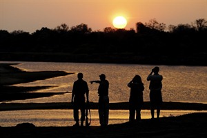 Zambia Walking Safari - Luangwa  Encounter 1