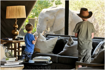 Botswana &amp; Victoria Falls Family Safari
