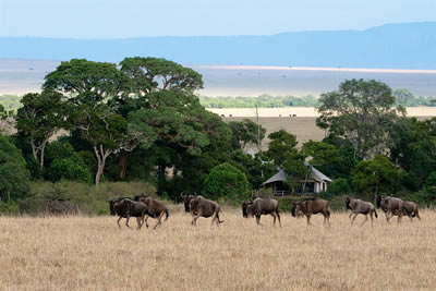 Great Plains Conservation Kenya Safari