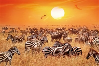 Kenya Safari & Mauritius Escape