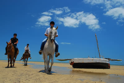 Mozambique Horse Riding Safari