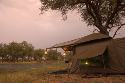 Northern Botswana Highlights Safari